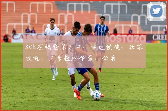 kok在线登录入口，快速便捷，独家攻略，三步轻松登录，必看