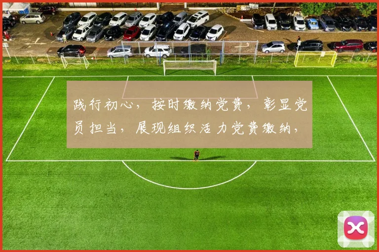 践行初心，按时缴纳党费，彰显党员担当，展现组织活力党费缴纳，党员责任，共筑中国梦