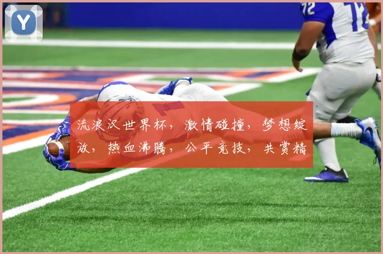 流浪汉世界杯，激情碰撞，梦想绽放，热血沸腾，公平竞技，共赏精彩