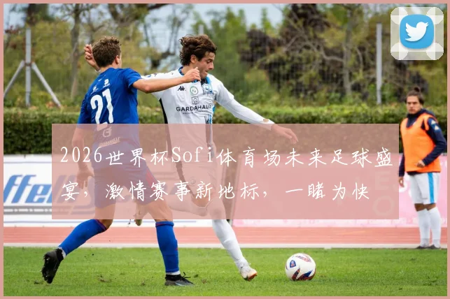 2026世界杯Sofi体育场未来足球盛宴，激情赛事新地标，一睹为快