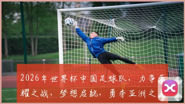2026年世界杯中国足球队，力争荣耀之战，梦想启航，勇夺亚洲之光，共创辉煌时刻