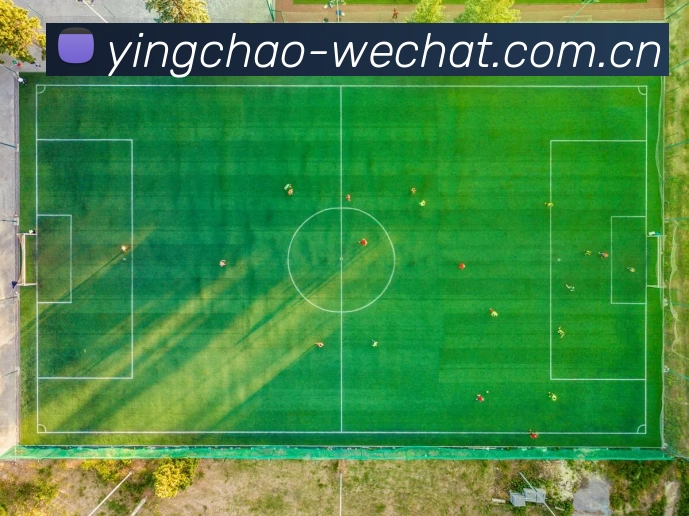英超大小球返水平台生态图