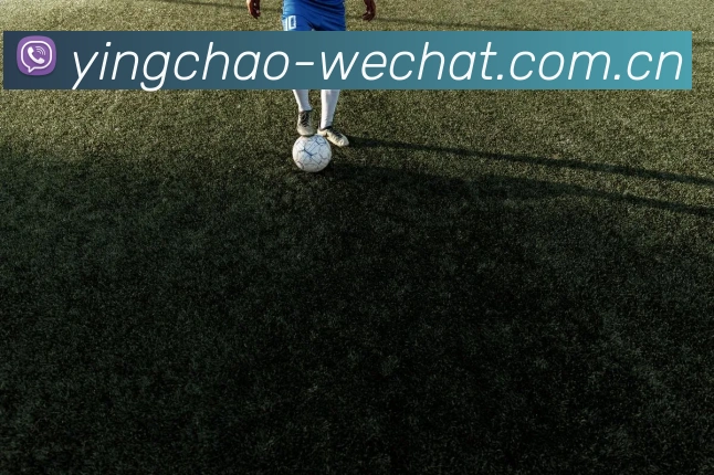 赛事专题整合